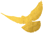 重磅升級！中為檢驗完成CNAS擴項(圖2)