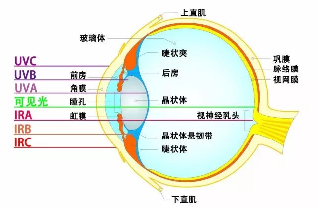 激光光生物安全和光生物安全介紹(圖1)