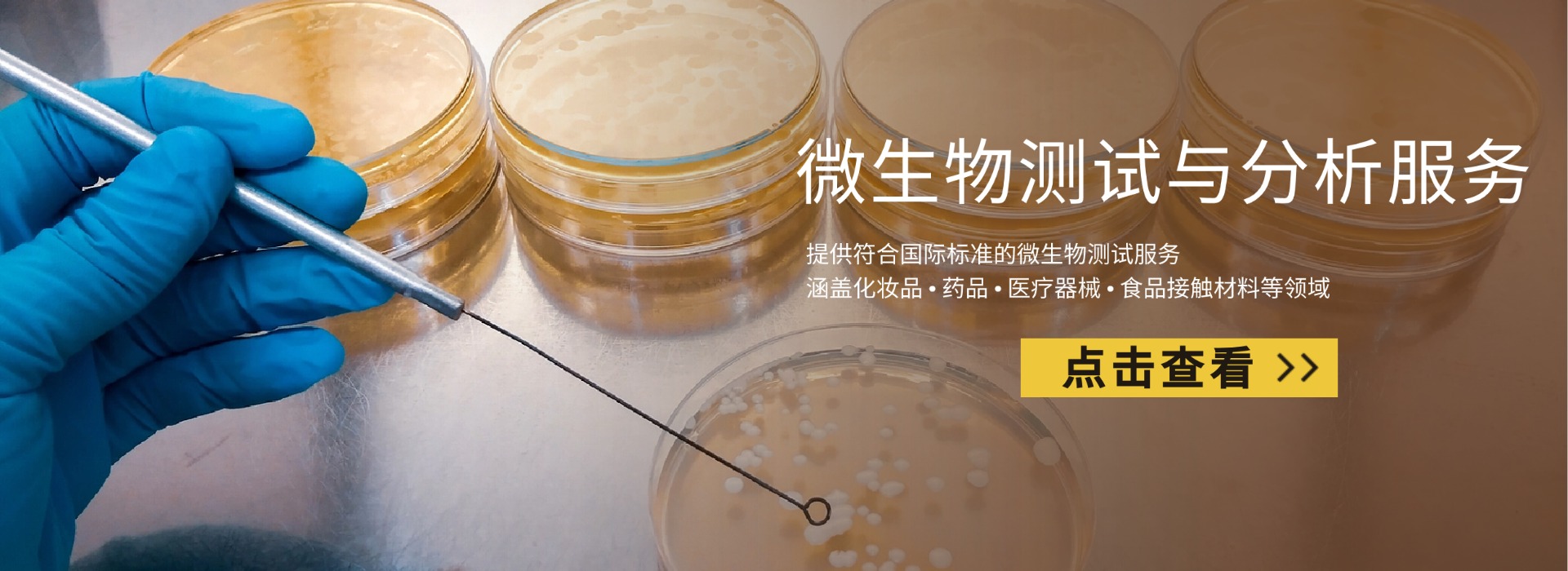 微生物限度檢測(cè)(圖1)